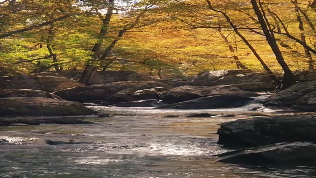 Test video submission